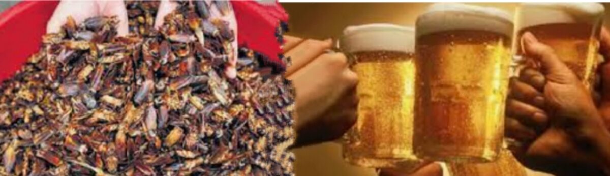 உங்க வீட்ல கரப்பான்பூச்சி நிறைய இருக்கா..? இவங்க கிட்ட கொடுத்தறலாமா..?