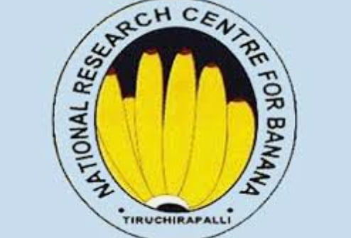 National Banana Research Institute Trichy - Dhinasari Tamil