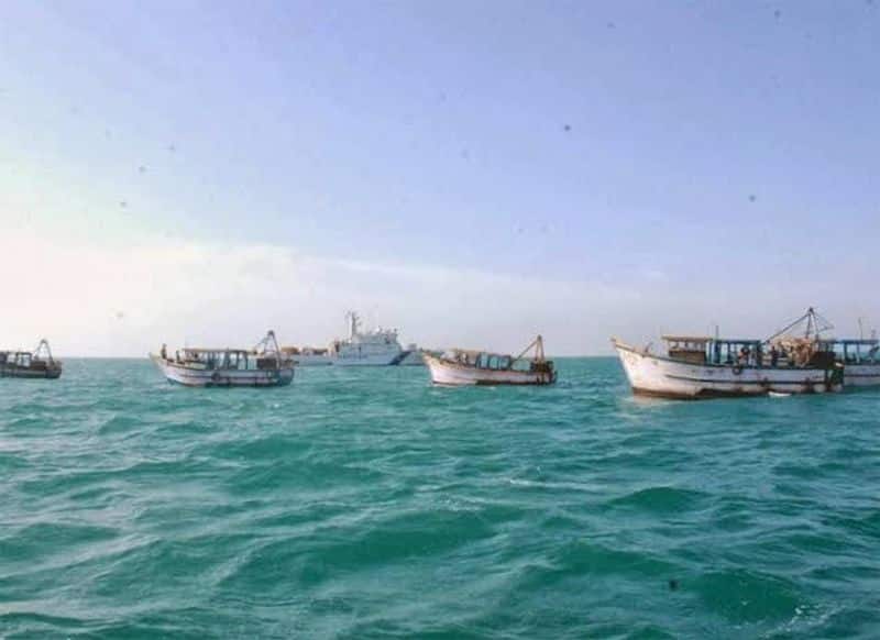 fisherman jpg - 2026