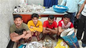 202203061008292393 Tamil News Tamil News Northern robbers four arrested for gold robbery MEDVPF - 2026