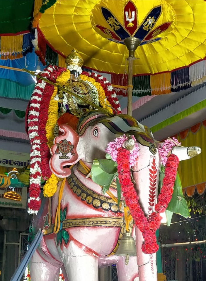 பாளை ராஜகோபால சுவாமி கோயில் பங்குனி உத்திர விழா…