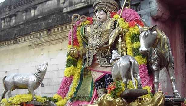 மன்னார்குடி ராஜகோபால சுவாமி கோவிலில் இன்று தங்கசூரியபிரபை.