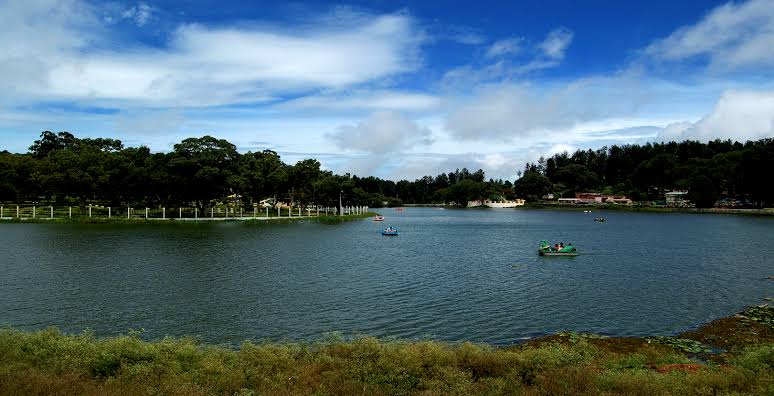 images - 2026