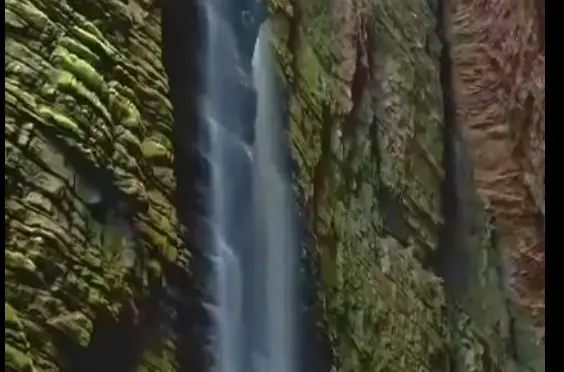nature - 2026