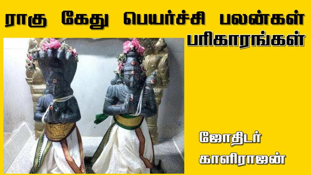 இந்த ராகு - கேது பெயர்ச்சி… உங்களுக்கு எப்படி இருக்கும்..?! - Dhinasari Tamil