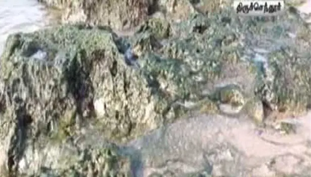 202204031144440645 Tamil News Tamil News Sudden intrusion of sea in Thiruchendur SECVPF - 2026