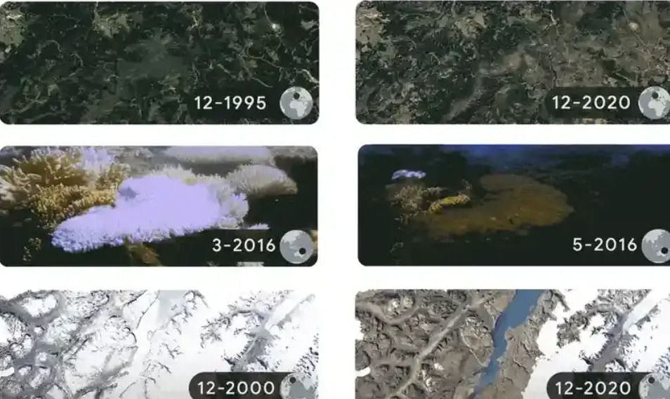 Google 1 - 2026
