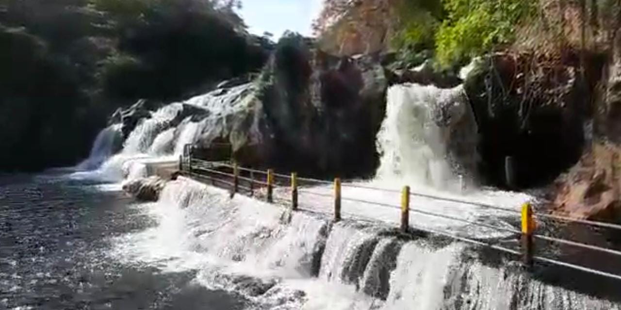 மணிமுத்தாறு அருவியில் வெள்ளப்பெருக்கு..குளிக்கத் தடை-