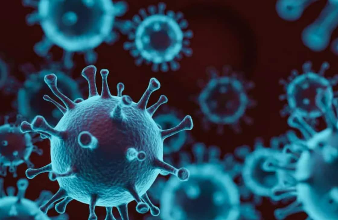 சென்னை ஐஐடியில் இன்றும் 32 பேருக்கு கொரோனா ..