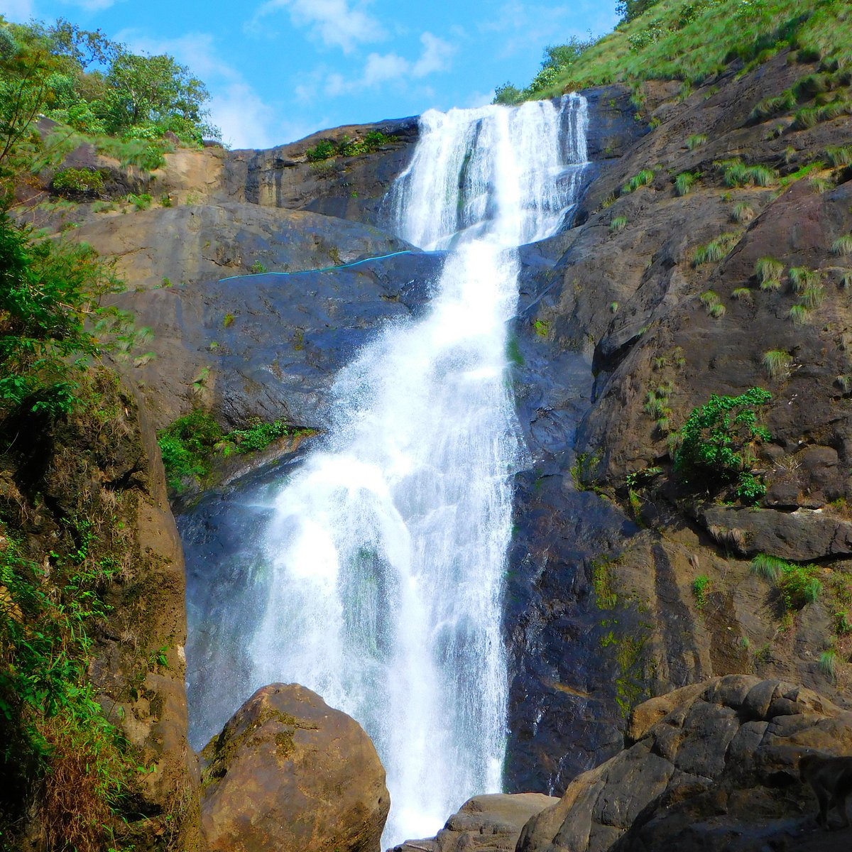 ஆரியங்காவு பாலருவியில் தண்ணீர்-சுற்றுலா பயணிகள் மகிழ்ச்சி..