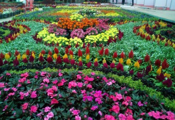 தேக்கடி 14 வது மலர்கண்காட்சி மே2வரை நடைபெறும்..