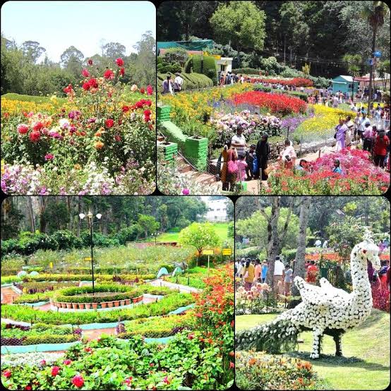 images 6 - 2026