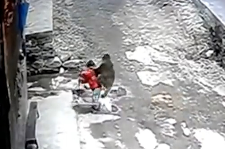 monkey - 2026