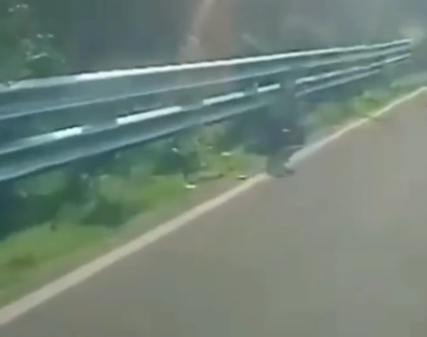 செங்கோட்டை அருகே பேருந்தின் படியில் பயணித்து கீழே விழுந்த மாணவர்! அதிர்ச்சி வீடியோ!