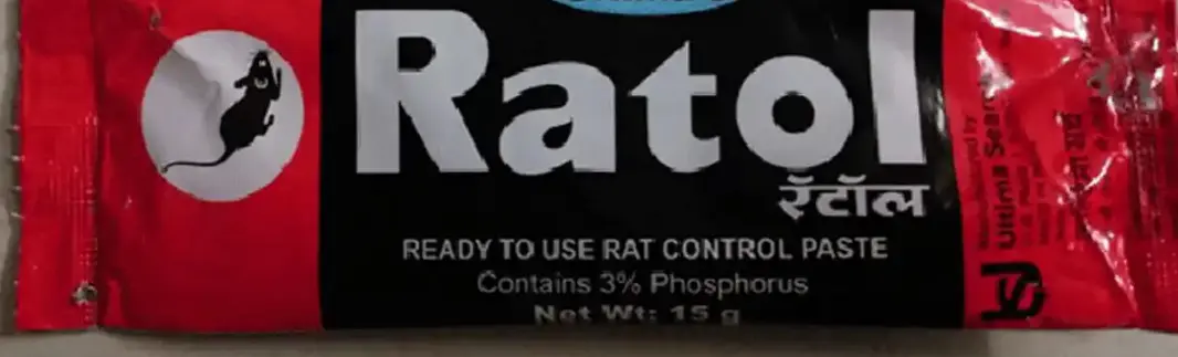 rat - 2026