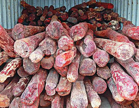 redwood sandal - 2026