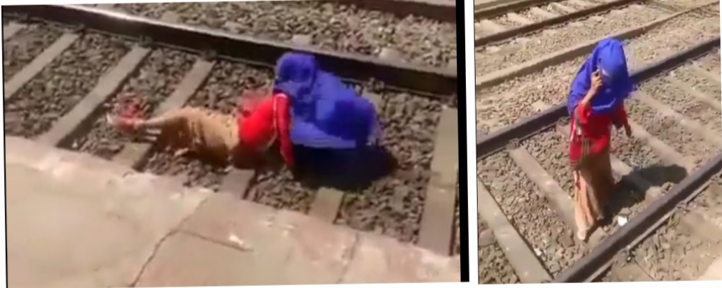 தண்டவாளத்தில் படுத்தபடியே போன் பேசிய பெண்! கடந்து செல்லும் ரயில்!