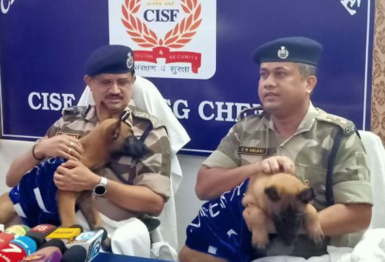 சென்னை விமான நிலைய பாதுகாப்பு பணியில் வீரா, பைரவா..