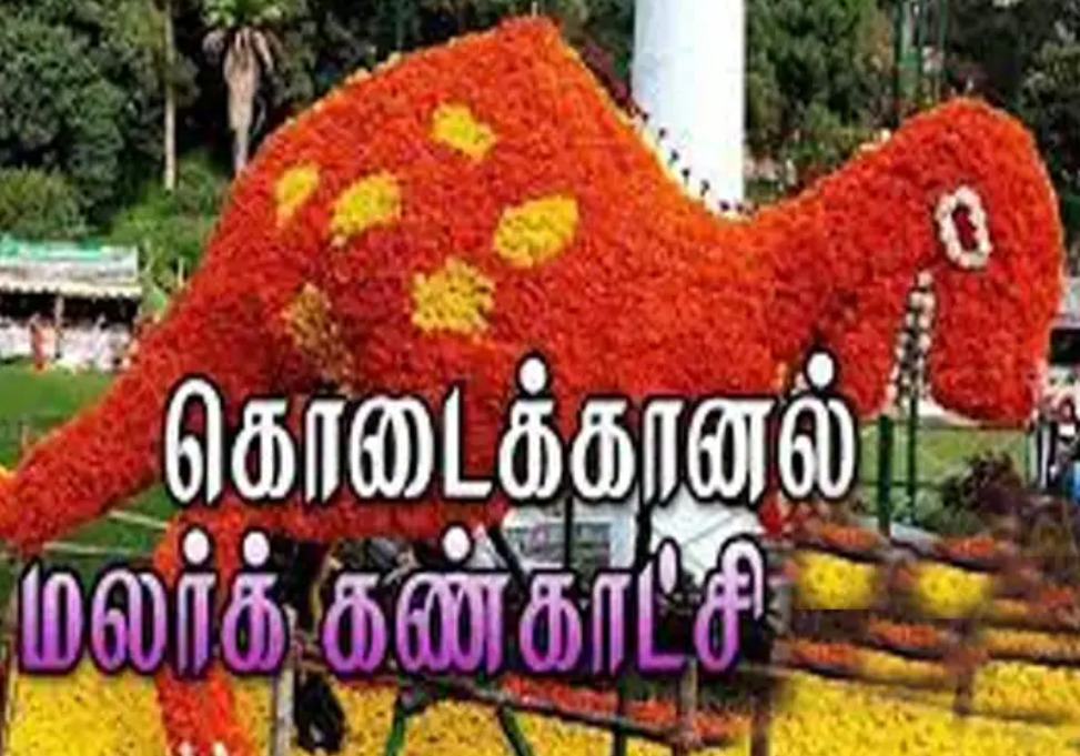 Kodaikanal flower - Dhinasari Tamil