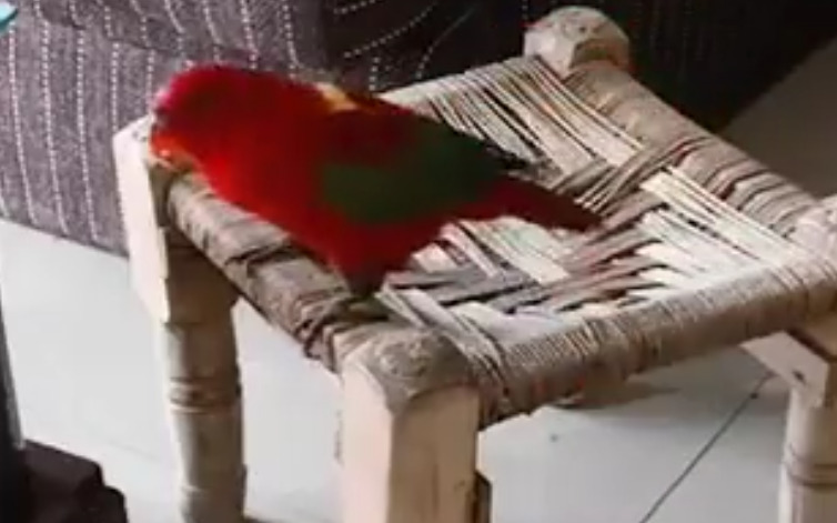 கொஞ்சி பேசி டீ கேட்கும் அஞ்சுகம்.. நெஞ்சை அள்ளும் காட்சி!