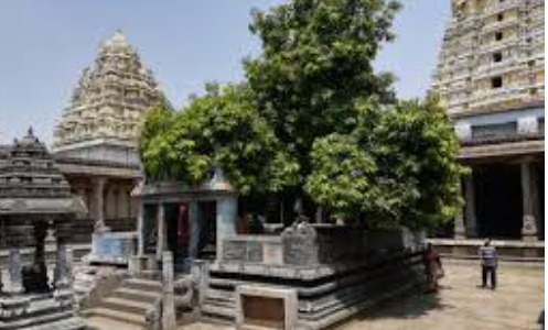 ekambareswarar temple - Dhinasari Tamil