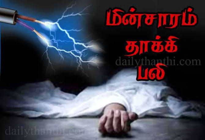 images 26 - 2026