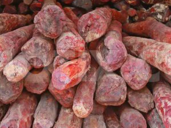 குஜராத்தில் இருந்து சார்ஜாவுக்கு செம்மரக்கட்டைகள் கடத்த முயற்சி..