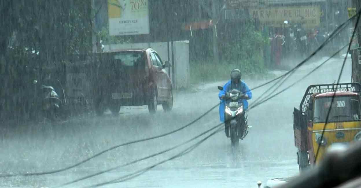 rain - 2026