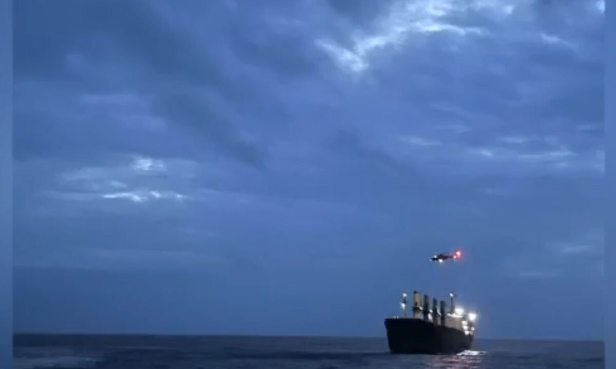1721067 indian goast courd - 2026