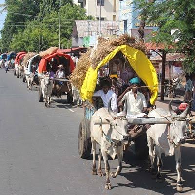 ஸ்ரீரங்கம்  ரெங்கநாதரை தரிசனம் செய்ய மாட்டுவண்டி யில் வந்த பக்தர்கள்..