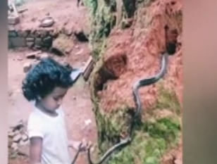 இளங்கன்று பயமறியாது.. பாம்பை பிடித்து புற்றில் விட்ட சிறுமி!