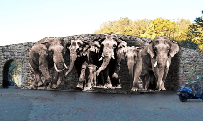 கொடைக்கானல் விலங்குகளை தத்துரூப ஓவியமாக வரைந்து செல்பி பாயிண்ட் ..