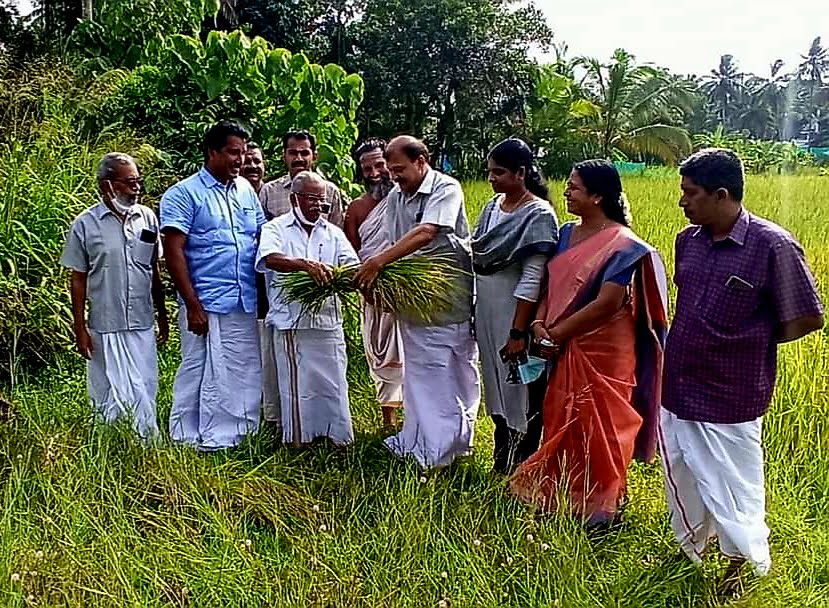 சபரிமலையில் ஆக4இல்  நிரைபுத்தரிசி பூஜை..