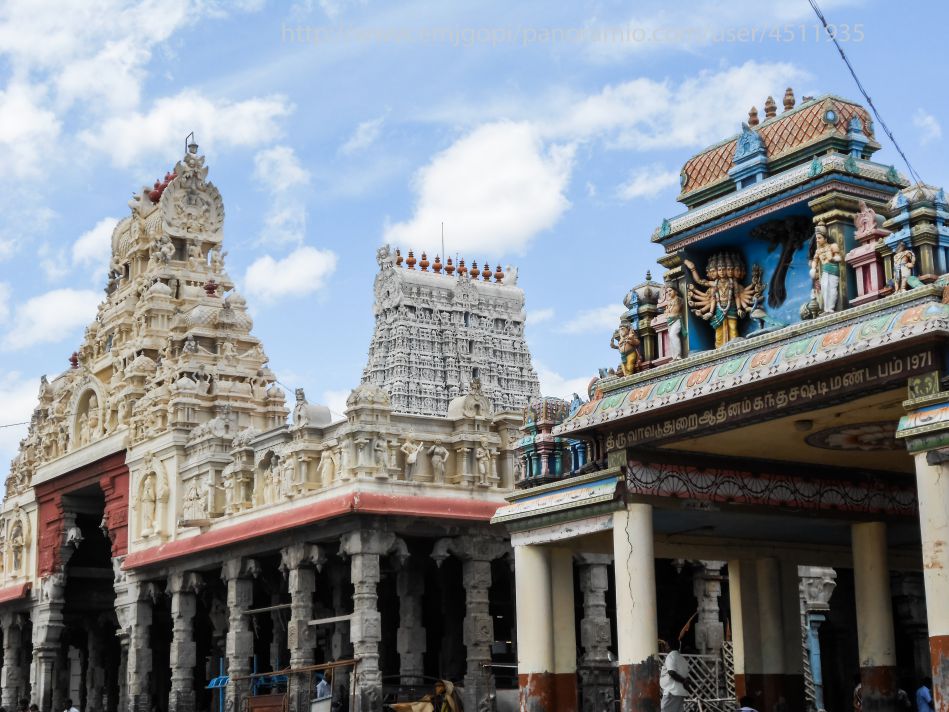 திருச்செந்தூர் கோவிலில் ஆடி தீர்த்தவாரி .. - Dhinasari Tamil