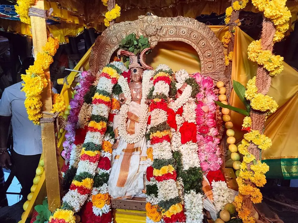 திருநெல்வேலி நெல்லையப்பர் கோவில் ஆனி தேரோட்டம் கோலாகலம்.. - Dhinasari Tamil