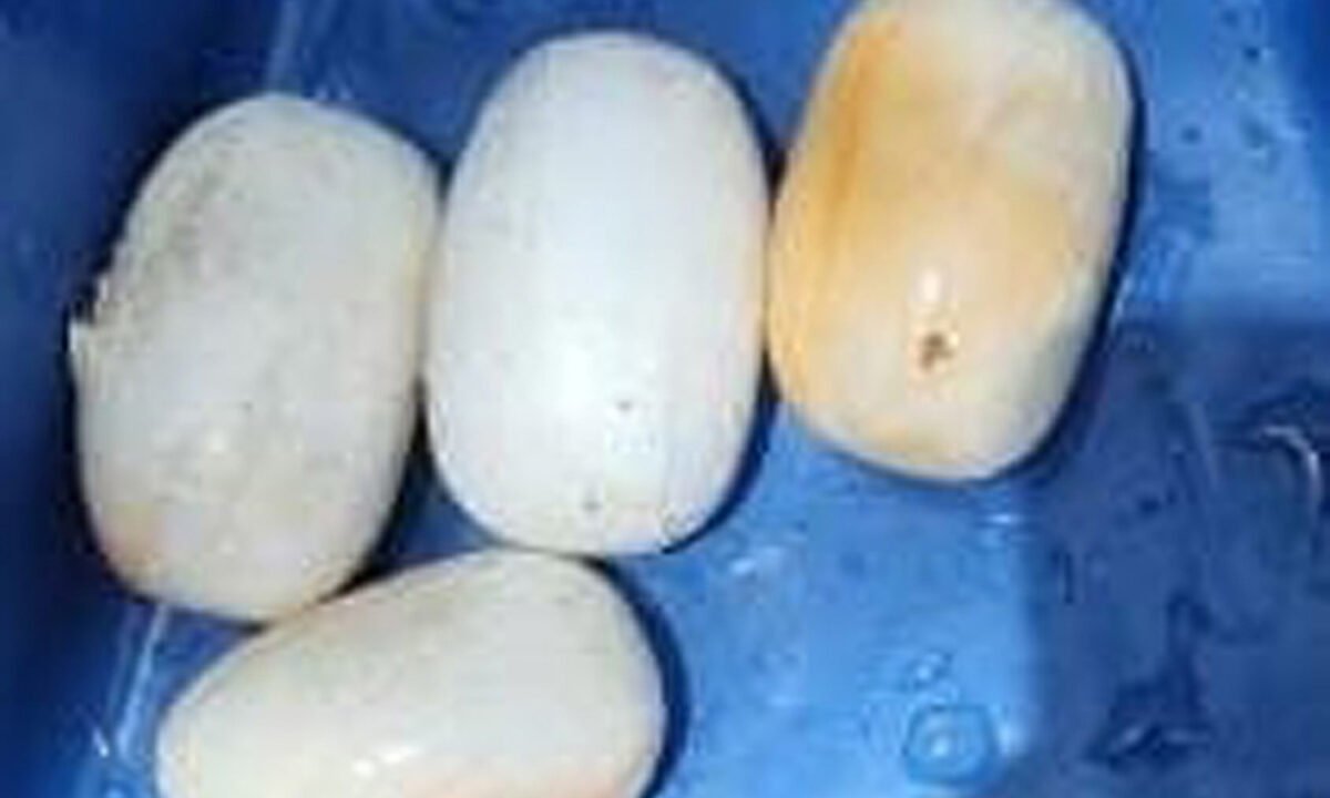 துபாயில் இருந்து தங்கம் கடத்தி வந்த 4 வாலிபர்கள் நெல்லை அருகே கைது..