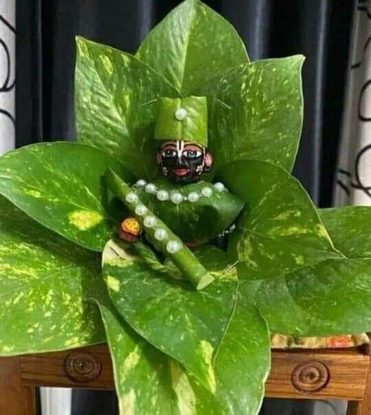 இன்று ஸ்ரீகிருஷ்ண ஜெயந்தி சுபதினம்..