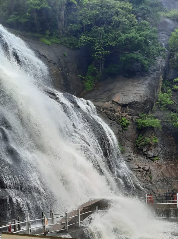 குற்றால அருவிகளில் தொடரும் வெள்ளப்பெருக்கு  குளிக்க தடை..