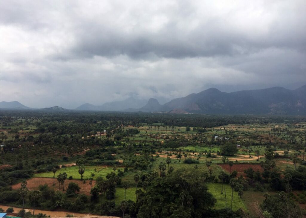 ஸ்ரீவில்லிபுத்தூர் திருவண்ணாமலை ஸ்ரீனிவாசபெருமாளை புரட்டாசியில் சேவிக்கலாம்.. - Dhinasari Tamil