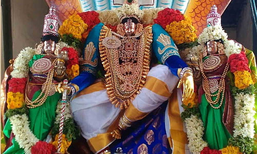 சென்னை, காஞ்சியில்   பெருமாள் கோவில்களில் சிறப்பு வழிபாடு..
