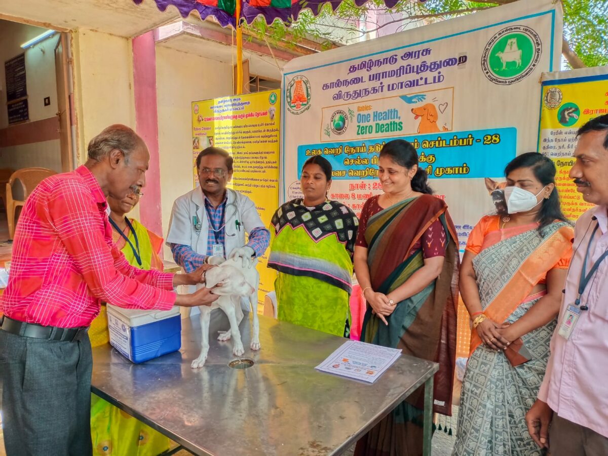 ராஜபாளையத்தில்நாய்களுக்கு வெறிநோய் தடுப்பூசி முகாம் ..