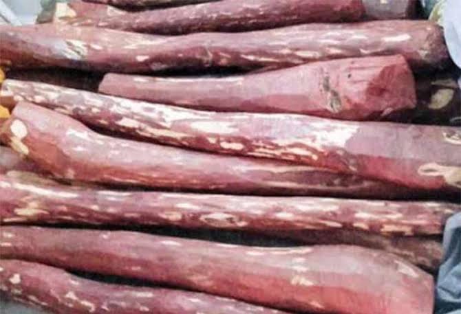 ஆந்திராவில்  பறிமுதல் செய்யப்பட்ட செம்மரக்கட்டைகள் ஏலம் விட முடிவு..