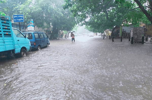 தமிழ்நாட்டில் தொடரும் மழை.. - Dhinasari Tamil