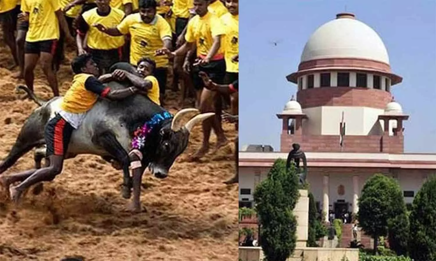 1797073 jallikattu - 2026