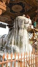 தஞ்சை பெரிய கோவிலில் கார்த்திகை சோமவார சங்காபிஷேகம், பிரதோஷம்.. - Dhinasari Tamil