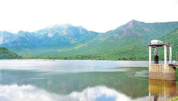 ஸ்ரீவில்லிபுத்தூர் அருகே விவசாயத்திற்காக அணையை திறந்து வைத்த அமைச்சர்.. - Dhinasari Tamil
