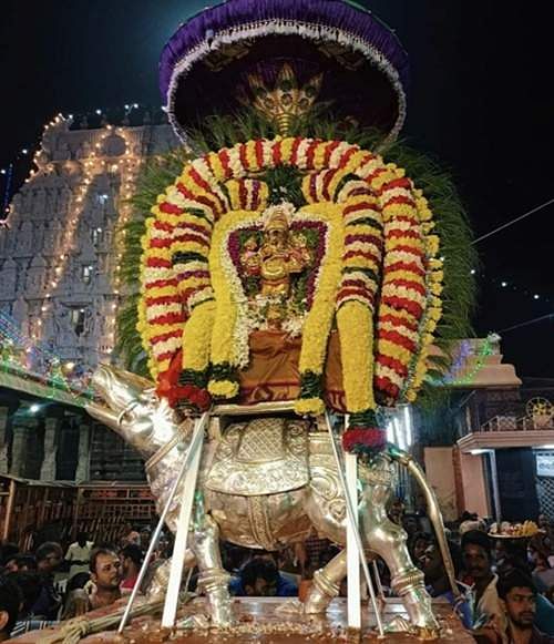 திருவண்ணாமலையில் காா்த்திகை உற்சவம் கொடியேற்றத்துடன் துவக்கம்.. - Dhinasari Tamil