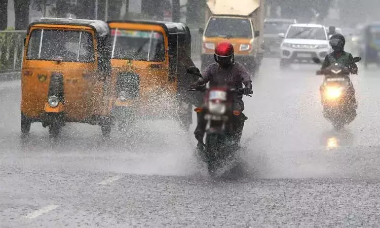 1027786 rain - 2026