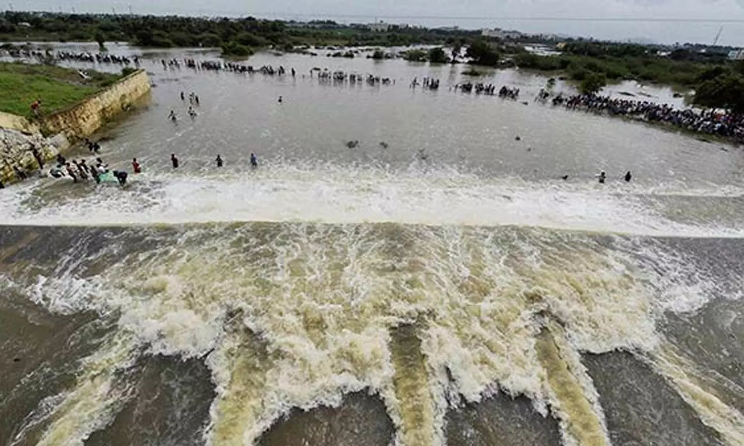 1805721 3 - 2026