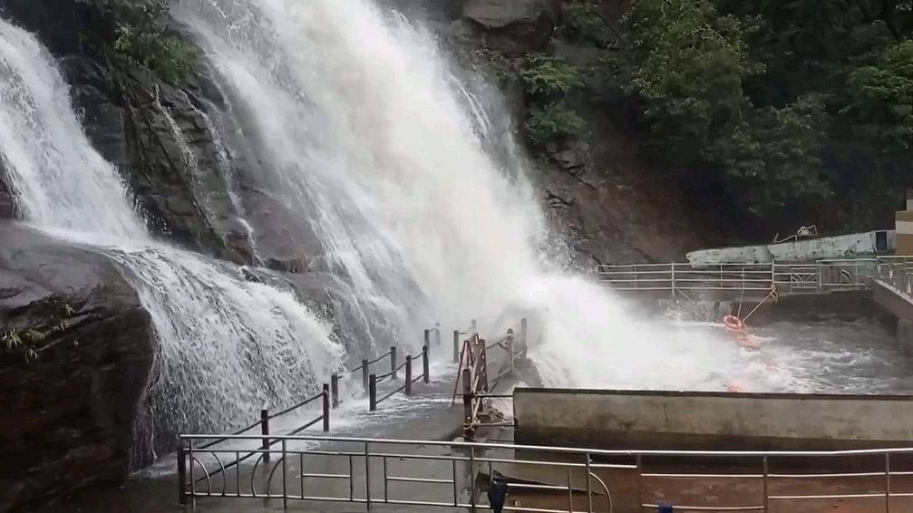 குற்றாலம் அருவிகளில் தொடர்ந்து வெள்ளப்பெருக்கு.. - Dhinasari Tamil